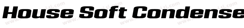House Soft Condensed Black Italic字体转换